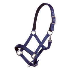 Capestro Breakaway HKM