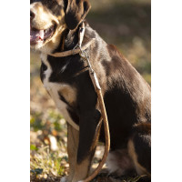 Collare Anam Cara in corda HKM Brandy Marrone Collare Anam Cara in corda HKM Brandy Marrone