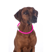 Collare luminoso per cani a LED HKM Rosa Collare luminoso per cani a LED HKM Rosa