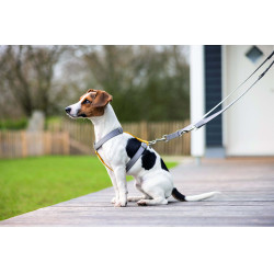 Pettorina per cane Anam Cara Basic in nylon HKM Pettorina per cane Anam Cara Basic in nylon HKM