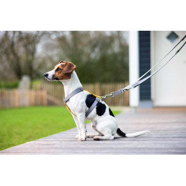 Pettorina per cane Anam Cara Basic in nylon HKM Pettorina per cane Anam Cara Basic in nylon HKM