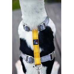 Pettorina per cane Anam Cara Basic in nylon HKM Pettorina per cane Anam Cara Basic in nylon HKM
