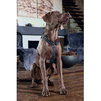 Pettorina per cane Anam Cara Basic in nylon HKM Blu scuro / petrolio
