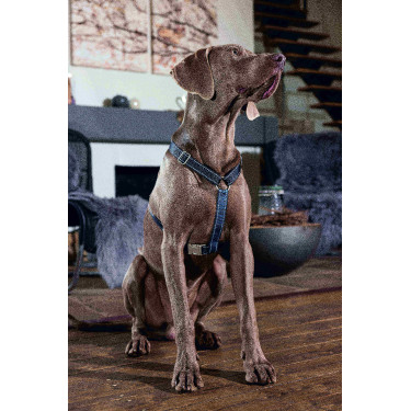 Pettorina per cane Anam Cara Basic in nylon HKM Blu scuro / petrolio
