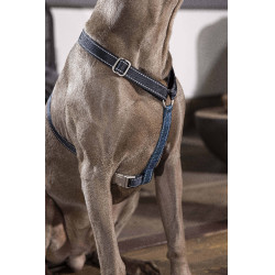 Pettorina per cane Anam Cara Basic in nylon HKM Blu scuro / petrolio