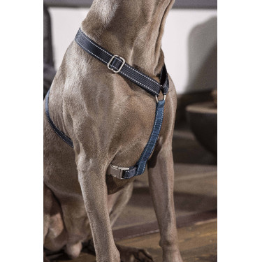 Pettorina per cane Anam Cara Basic in nylon HKM Blu scuro / petrolio