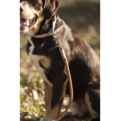 Guinzaglio da addestramento per cane Anam Cara corda HKM Brandy Marrone Guinzaglio da addestramento per cane Anam Cara corda HKM Brandy Marrone
