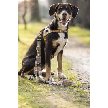 Guinzaglio da addestramento per cani Anam Cara stampato HKM Guinzaglio da addestramento per cani Anam Cara stampato HKM