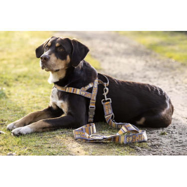 Guinzaglio da addestramento per cani Anam Cara stampato HKM Guinzaglio da addestramento per cani Anam Cara stampato HKM
