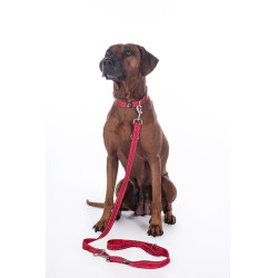 Guinzaglio da addestramento per cane Anam Cara in nylon HKM Guinzaglio da addestramento per cane Anam Cara in nylon HKM