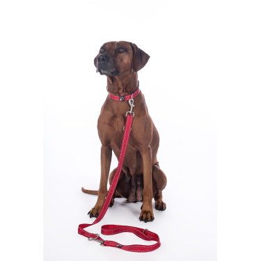 Guinzaglio da addestramento per cane Anam Cara in nylon HKM Guinzaglio da addestramento per cane Anam Cara in nylon HKM