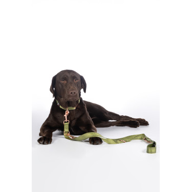 Guinzaglio da addestramento per cani Qooper in nylon HKM