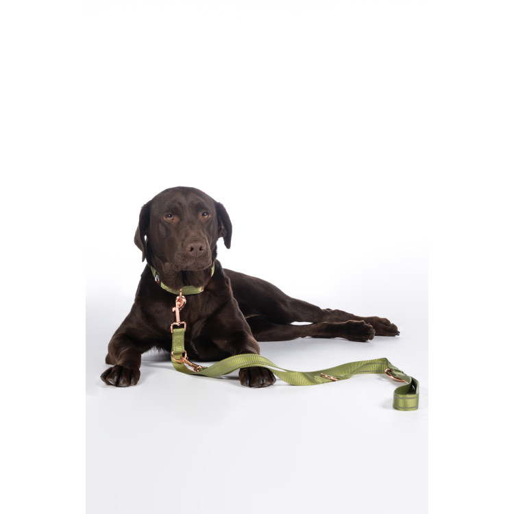 Guinzaglio da addestramento per cani Qooper in nylon HKM