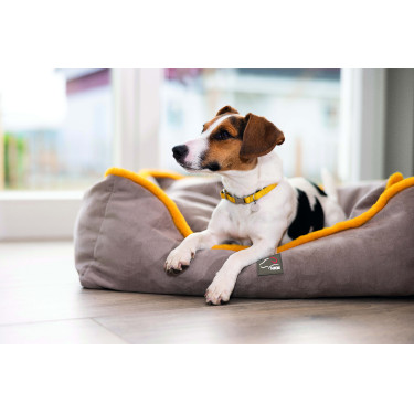 Letto per cane Anam Cara Comfort HKM Talpa / oro giallo Grigio