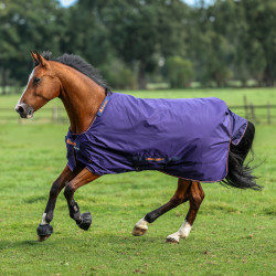 Coperta Bucas Therapy Turnout Light 50g Marina / arancione Blu