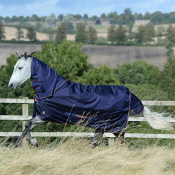 Coperta Bucas Therapy Turnout Light 50g Marina / arancione Blu