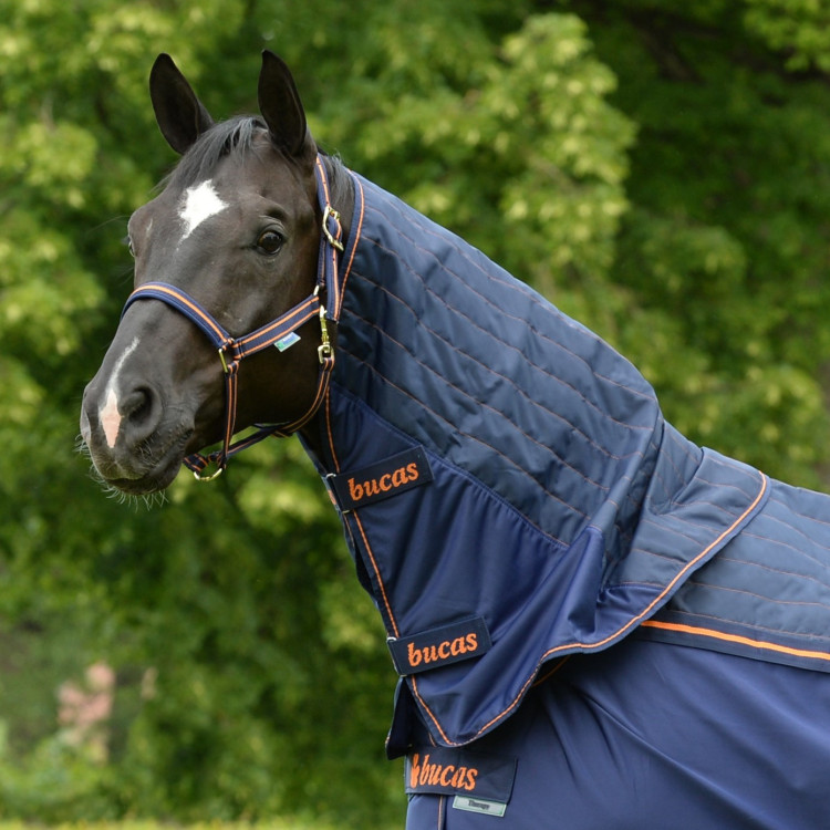 Collo Bucas Therapy Cooler Neck