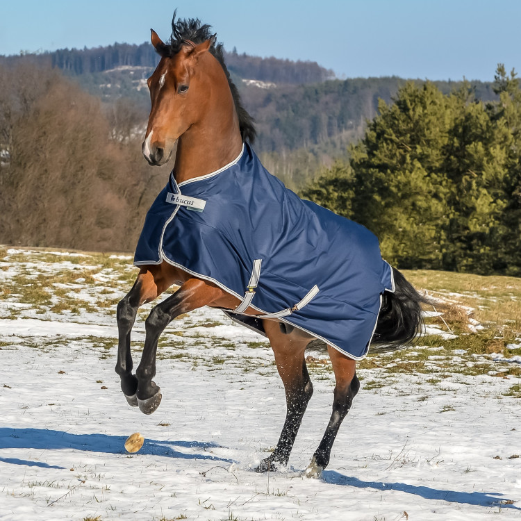 Coperta Bucas Freedom Turnout 300g