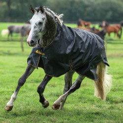 Coperta Bucas Irish Turnout High Neck Extra 300g Nero / dorato