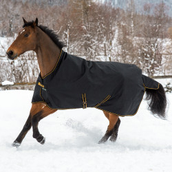 Coperta Bucas Irish Turnout High Neck Extra 300g Nero / dorato