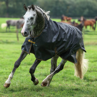 Coperta Bucas Irish Turnout High Neck Light 50g Nero / dorato