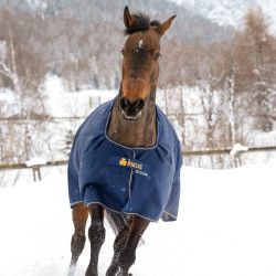 Coperta Bucas Irish Turnout Light 50g Blu navy / dorato