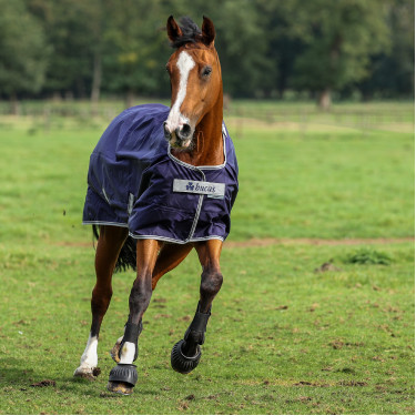 Coperta Bucas Atlantic Turnout 50g Blu navy