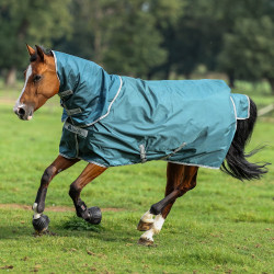 Coperta Bucas Atlantic Turnout 50g Verde