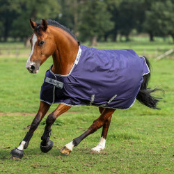 Coperta Bucas Atlantic Turnout 200g Blu navy