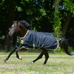 Coperta Bucas Oasis Turnout 200g con copricollo Grigio scuro / lime Coperta Bucas Oasis Turnout 200g con copricollo Grigio scuro / lime