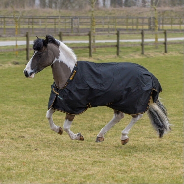 Coperta Bucas Irish Turnout Light 50g con copricollo Coperta Bucas Irish Turnout Light 50g con copricollo
