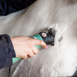 Tondeuse Lister Star mallette Tondeuse Lister Star mallette