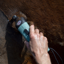 Tondeuse Lister Star mallette Tondeuse Lister Star mallette