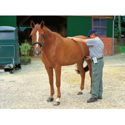 Rilevatore di parto HK