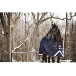 Copriscuderia da esterno LeMieux Kudos 350 g Blu navy