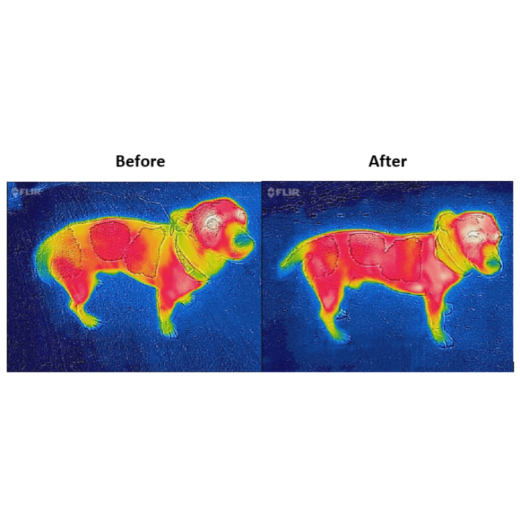 Hondendeken Bucas Therapy 0g Hondendeken Bucas Therapy 0g