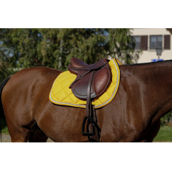 Sottosella Equithème Classic Sottosella Equithème Classic