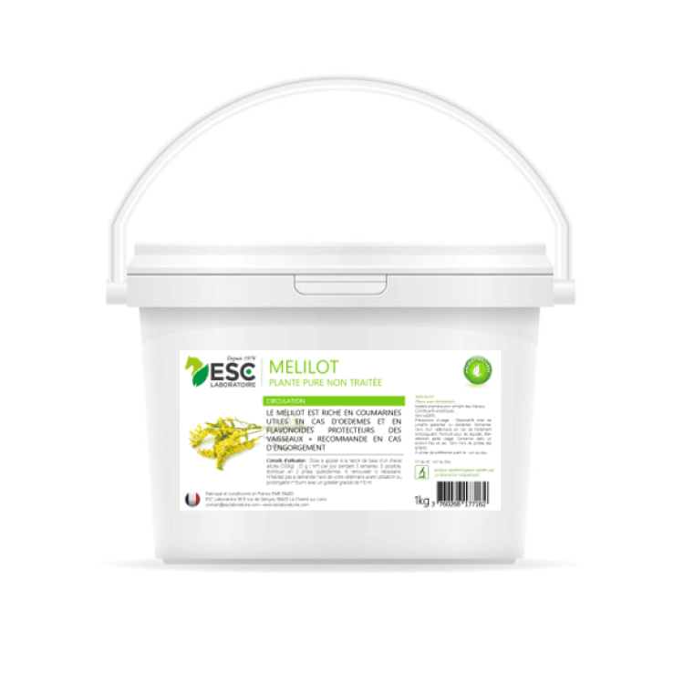 Meliloto ESC Laboratoire