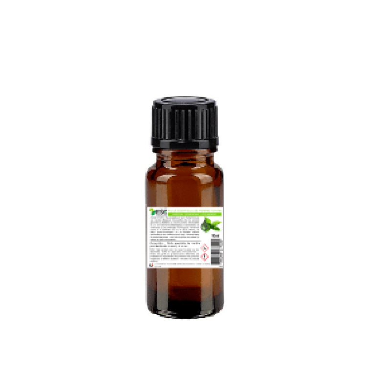 Olio essenziale di Menta Piperita Cavallo ESC Laboratoire