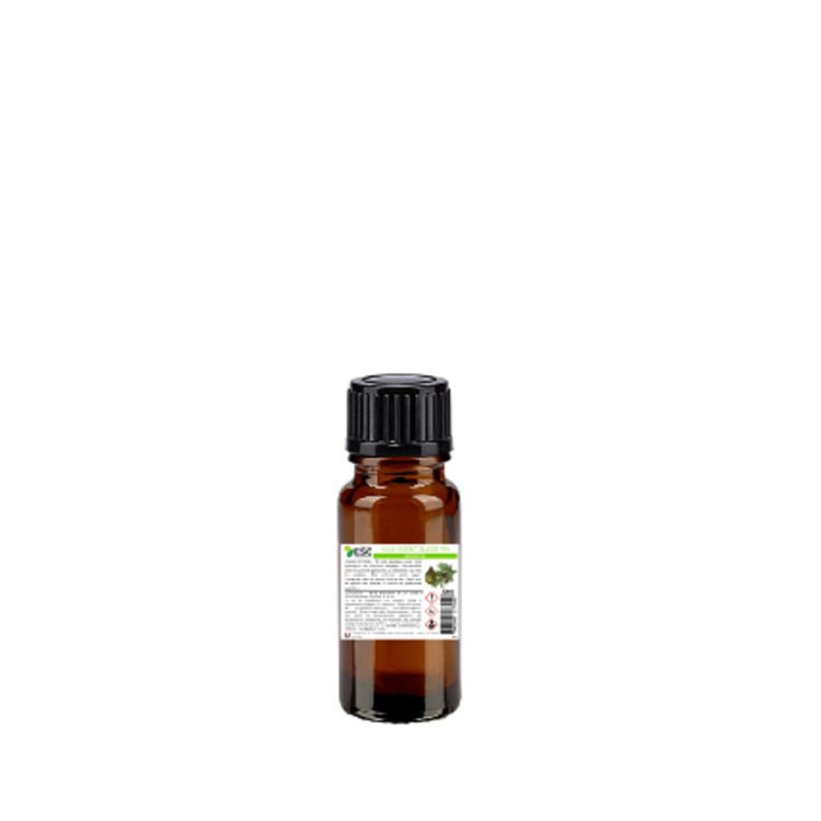 Olio essenziale di Pino Silvestre Cavallo ESC Laboratoire