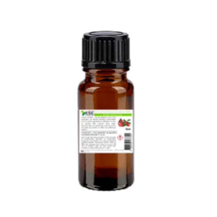 Olio essenziale di wintergreen ESC Laboratoire Olio essenziale di wintergreen ESC Laboratoire