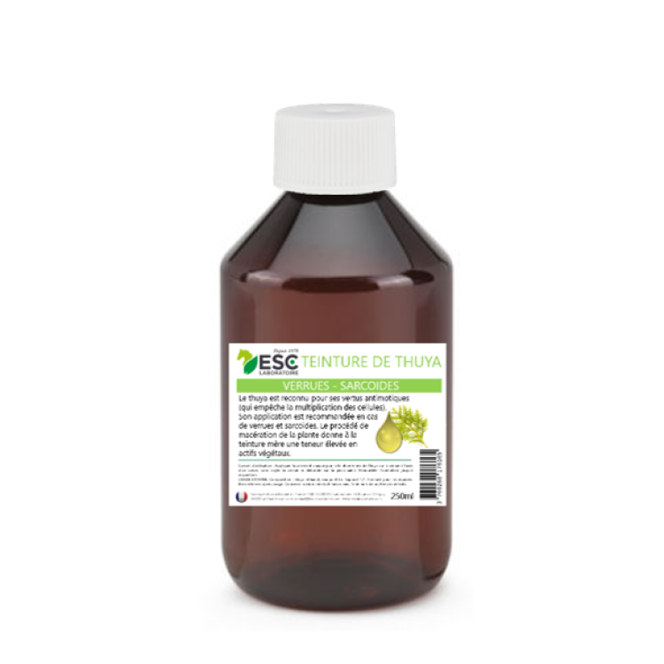 Tintura di Tuia ESC Laboratoire