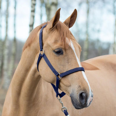Licol Horze Supreme avec doublure Bleu