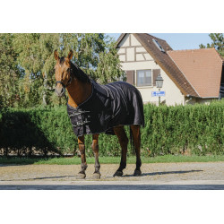 Camicia brillante Riding World Camicia brillante Riding World
