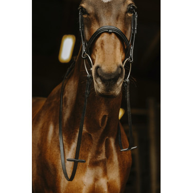 Redini lisce Norton Pro Fibbia nera Redini lisce Norton Pro Fibbia nera