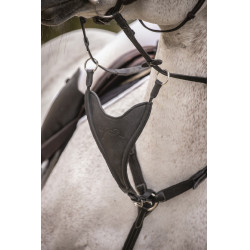 Freccia di martingala Pénélope Bip Plain Elastico Nero