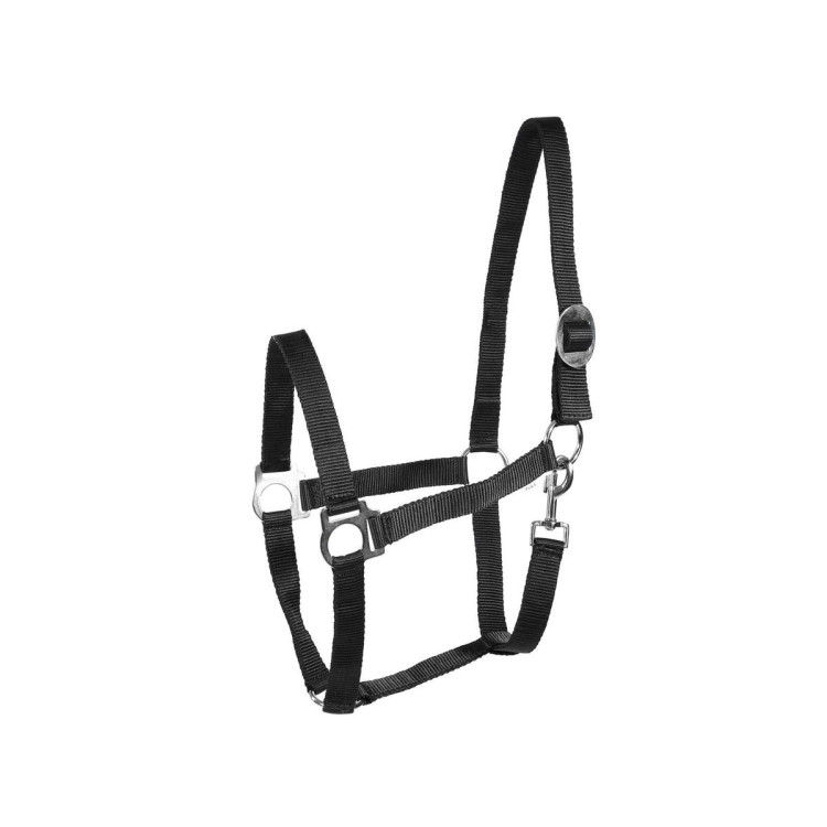 Capestro Basic Horze