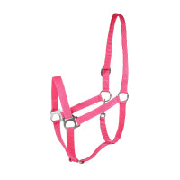 Capestro Basic Horze Lampone