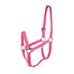 Capestro Basic Horze Capestro Basic Horze