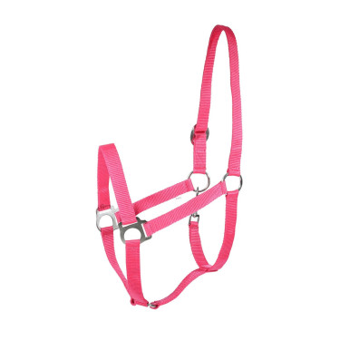 Capestro Basic Horze Capestro Basic Horze
